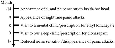 Exploding Head Syndrome Accompanied by Repeating Panic Attacks: A Case Report